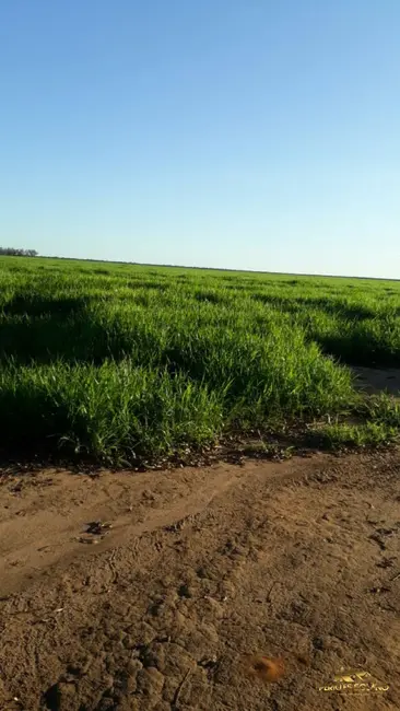 Fazenda / Haras com 3 quartos à venda, 3800m2 em Morada Nobre, Barreiras - BA - imagem 3 Foto 3 de Fazenda / Haras com 3 quartos à venda, 3800m2 em Morada Nobre, Barreiras - BA