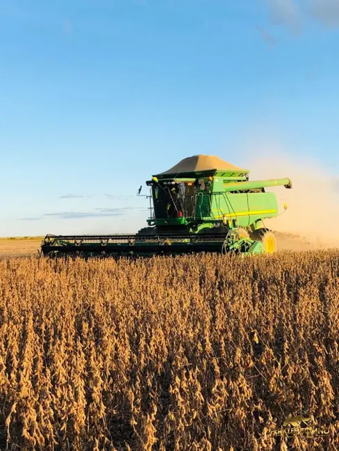 Fazenda / Haras com 3 quartos à venda, 3800m2 em Morada Nobre, Barreiras - BA - imagem 5 Foto 5 de Fazenda / Haras com 3 quartos à venda, 3800m2 em Morada Nobre, Barreiras - BA