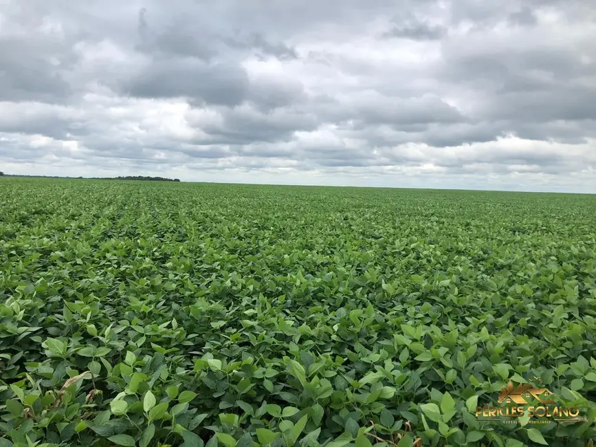 Foto 4 de Fazenda / Haras com 3 quartos à venda, 17897m2 em Agua Boa - MT