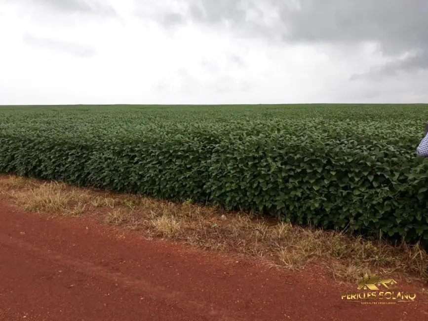 Foto 6 de Fazenda / Haras com 3 quartos à venda, 17897m2 em Agua Boa - MT