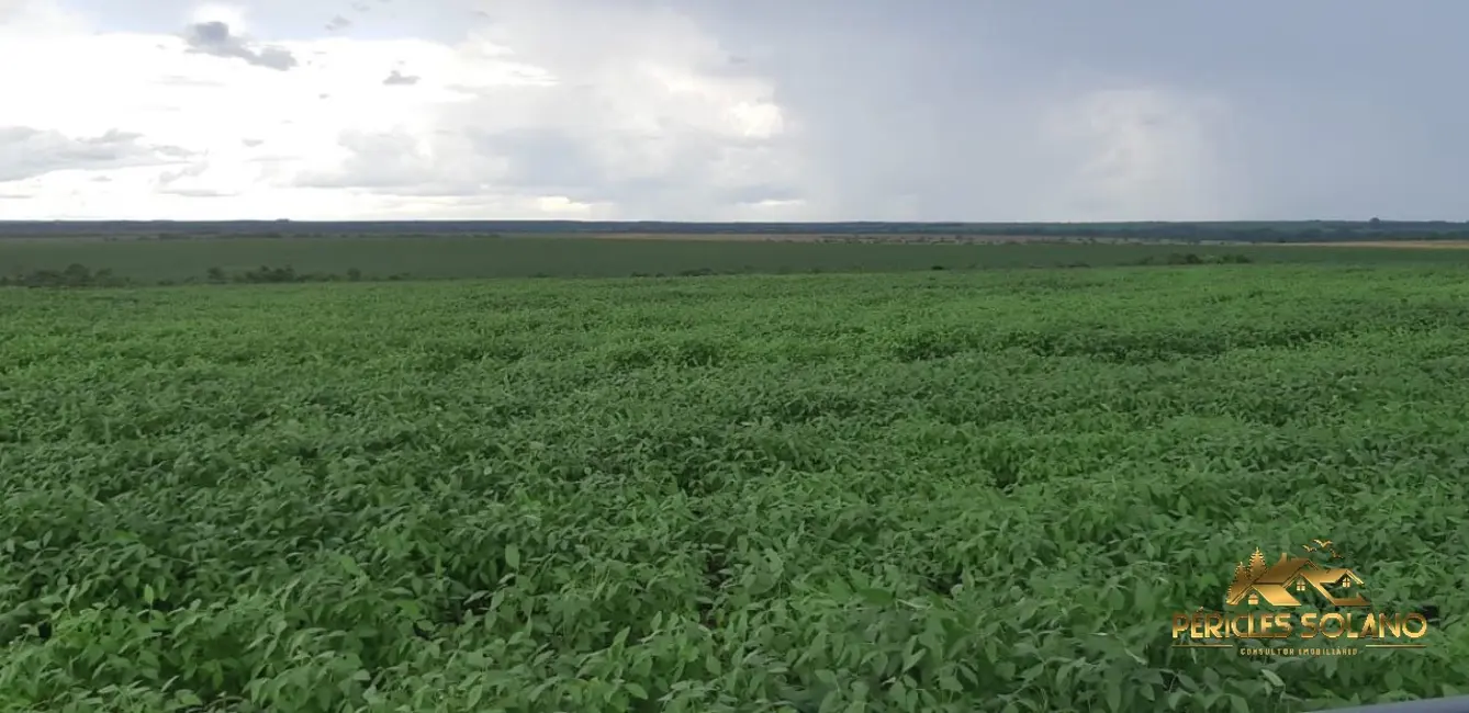 Foto 5 de Fazenda / Haras com 3 quartos à venda, 17897m2 em Agua Boa - MT