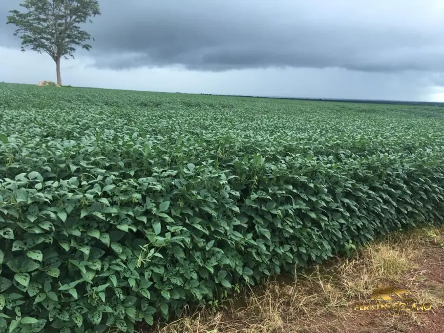 Foto 2 de Fazenda / Haras com 3 quartos à venda, 17897m2 em Agua Boa - MT