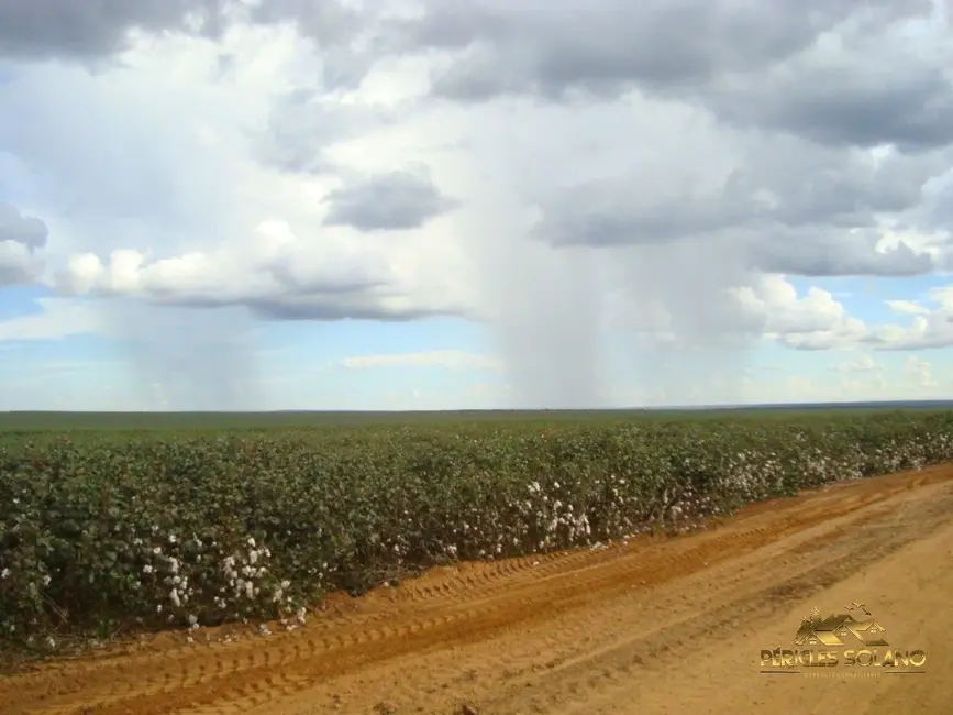 Foto 9 de Fazenda / Haras com 3 quartos à venda, 17897m2 em Agua Boa - MT