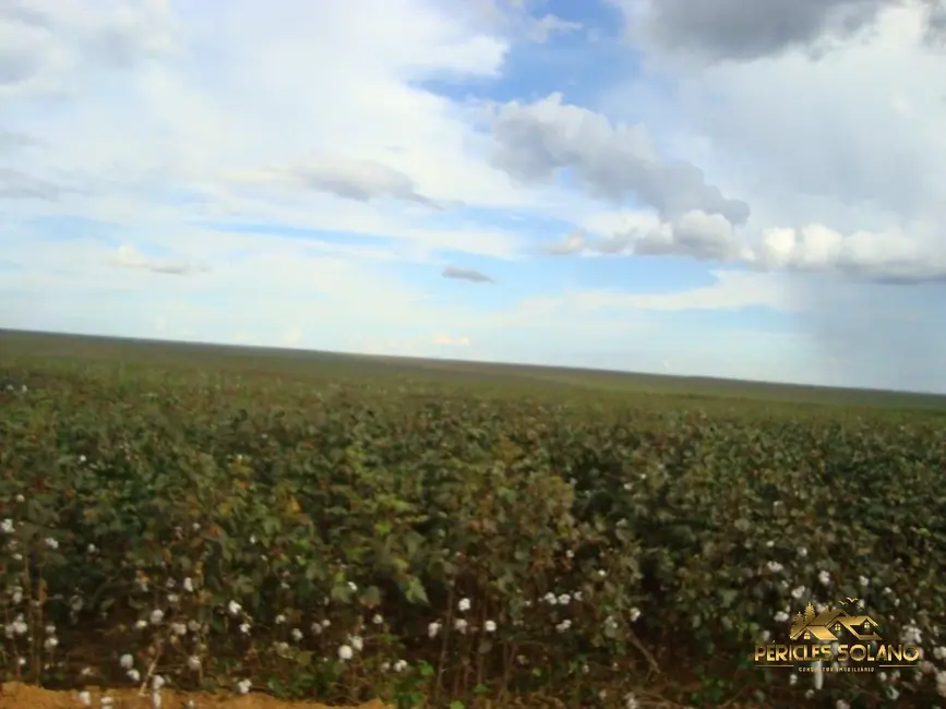 Foto 8 de Fazenda / Haras com 3 quartos à venda, 17897m2 em Agua Boa - MT