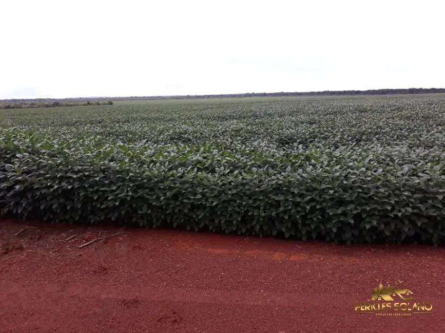 Foto 7 de Fazenda / Haras com 3 quartos à venda, 17897m2 em Agua Boa - MT