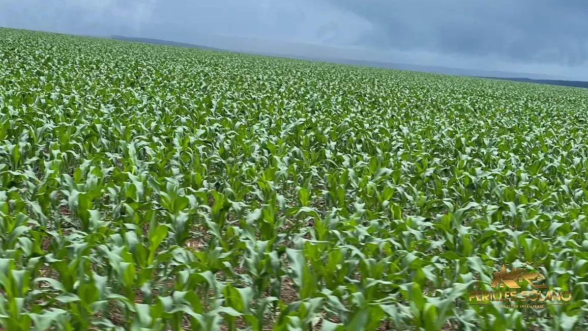 Fazenda / Haras com 3 quartos à venda, 7546m2 em Nobres - MT - imagem 4 Foto 4 de Fazenda / Haras com 3 quartos à venda, 7546m2 em Nobres - MT