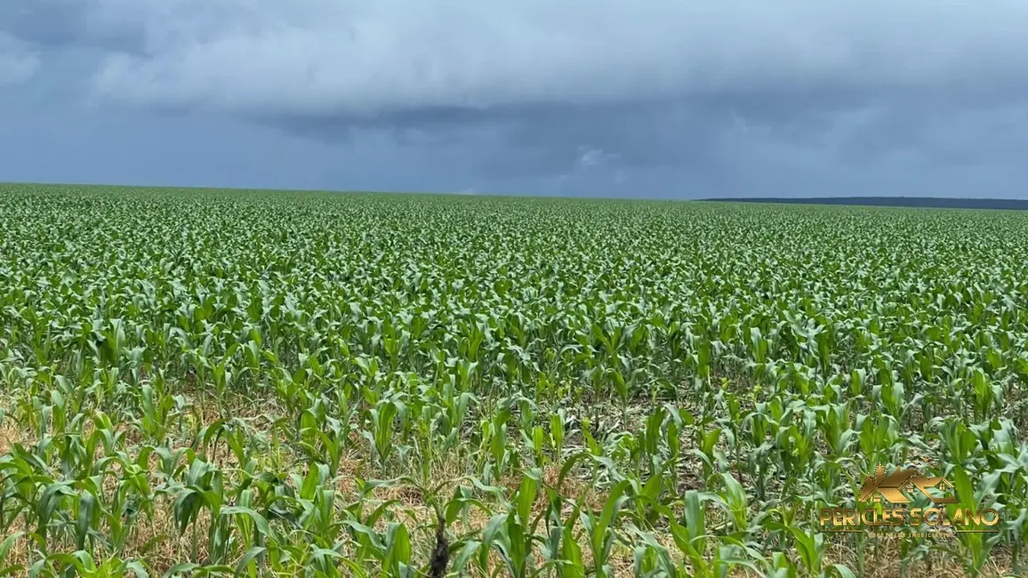 Fazenda / Haras com 3 quartos à venda, 7546m2 em Nobres - MT - imagem 7 Foto 7 de Fazenda / Haras com 3 quartos à venda, 7546m2 em Nobres - MT