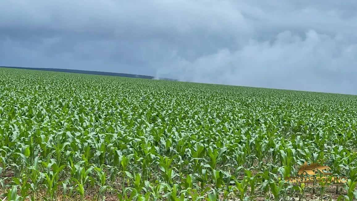 Fazenda / Haras com 3 quartos à venda, 7546m2 em Nobres - MT - imagem 3 Foto 3 de Fazenda / Haras com 3 quartos à venda, 7546m2 em Nobres - MT