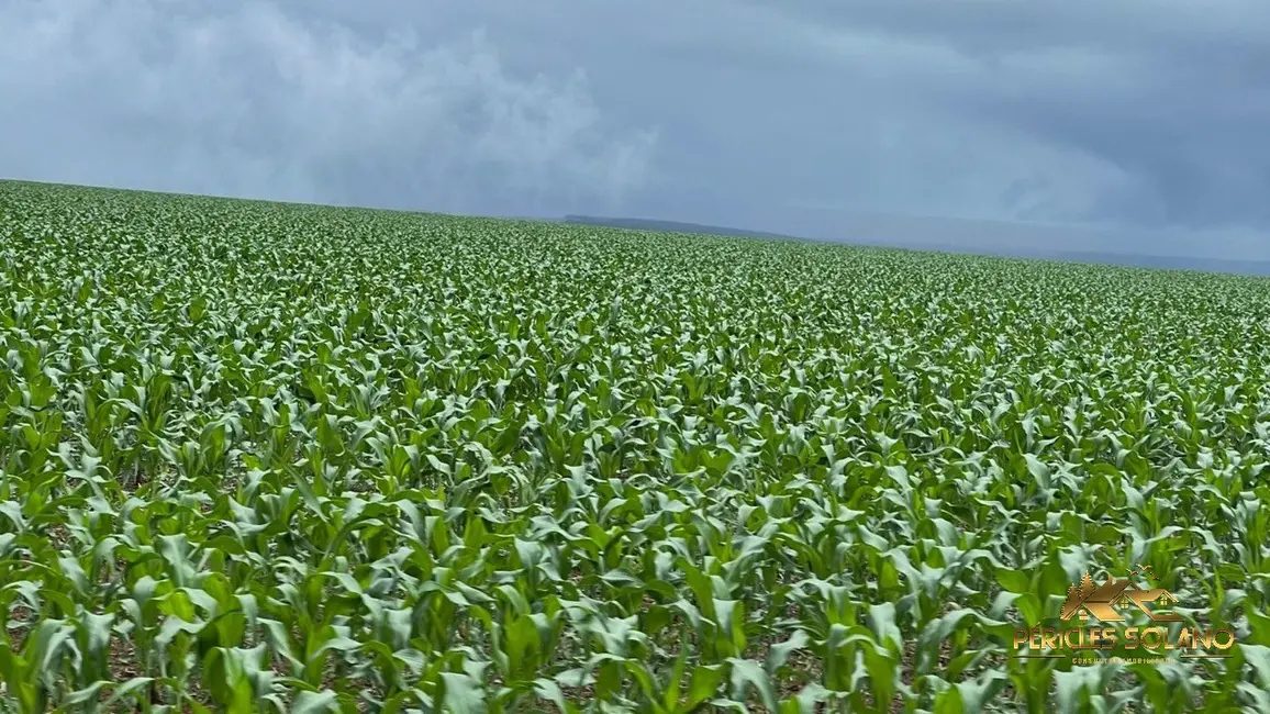 Fazenda / Haras com 3 quartos à venda, 7546m2 em Nobres - MT - imagem 2 Foto 2 de Fazenda / Haras com 3 quartos à venda, 7546m2 em Nobres - MT