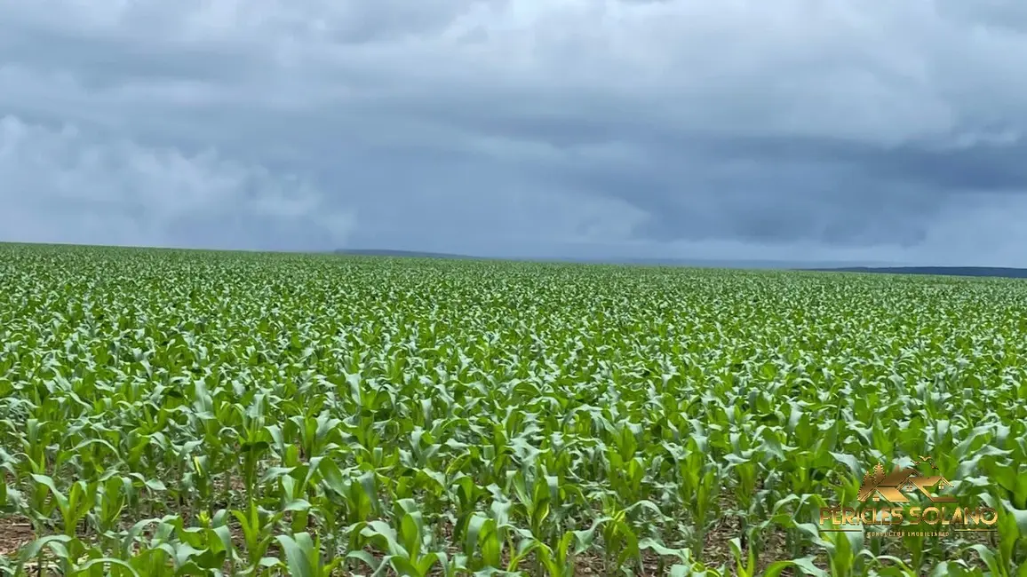 Fazenda / Haras com 3 quartos à venda, 7546m2 em Nobres - MT - imagem 8 Foto 8 de Fazenda / Haras com 3 quartos à venda, 7546m2 em Nobres - MT