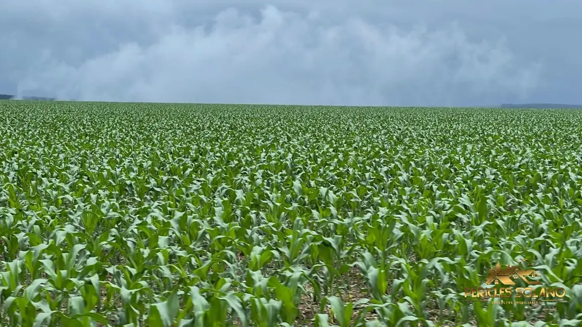 Fazenda / Haras com 3 quartos à venda, 7546m2 em Nobres - MT - imagem 1 Foto 1 de Fazenda / Haras com 3 quartos à venda, 7546m2 em Nobres - MT