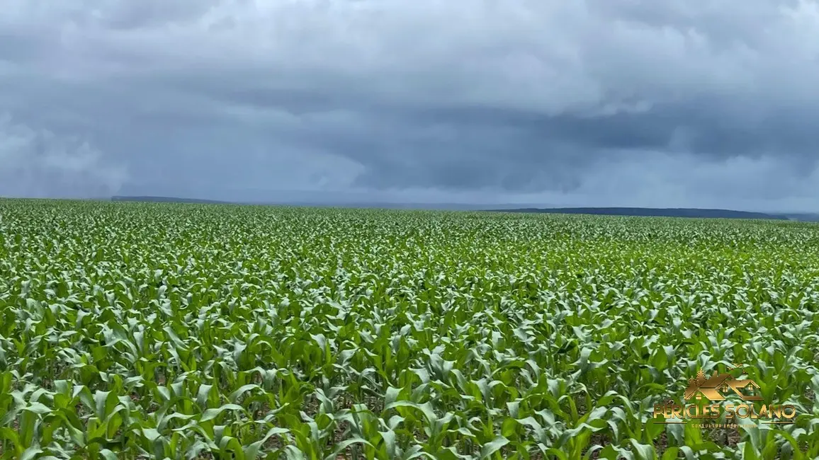 Fazenda / Haras com 3 quartos à venda, 7546m2 em Nobres - MT - imagem 5 Foto 5 de Fazenda / Haras com 3 quartos à venda, 7546m2 em Nobres - MT
