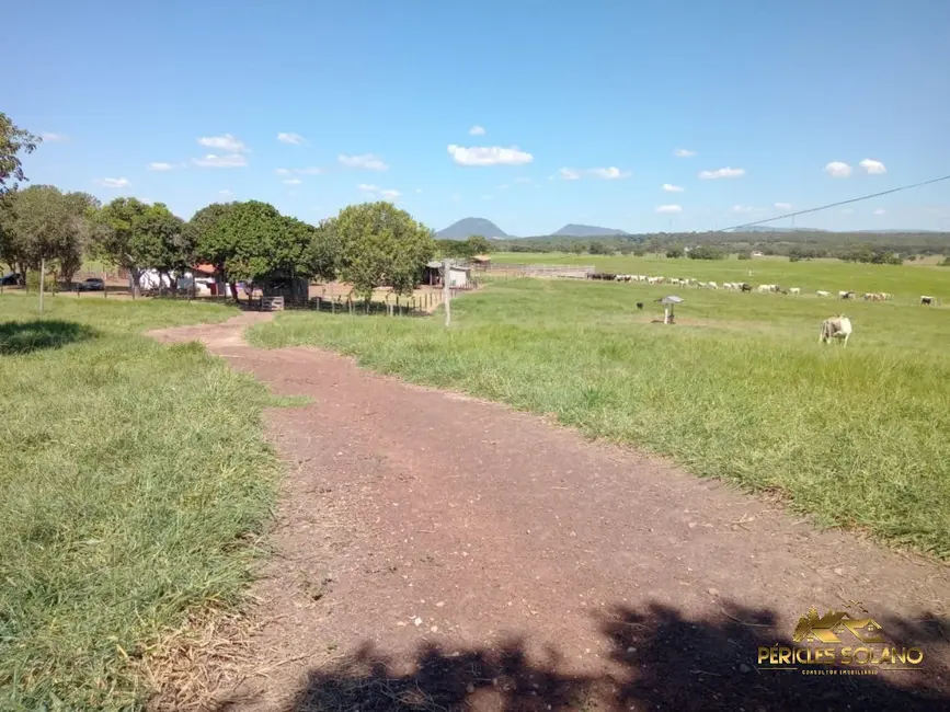 Foto 5 de Fazenda / Haras com 3 quartos à venda, 1240m2 em Centro, Nobres - MT