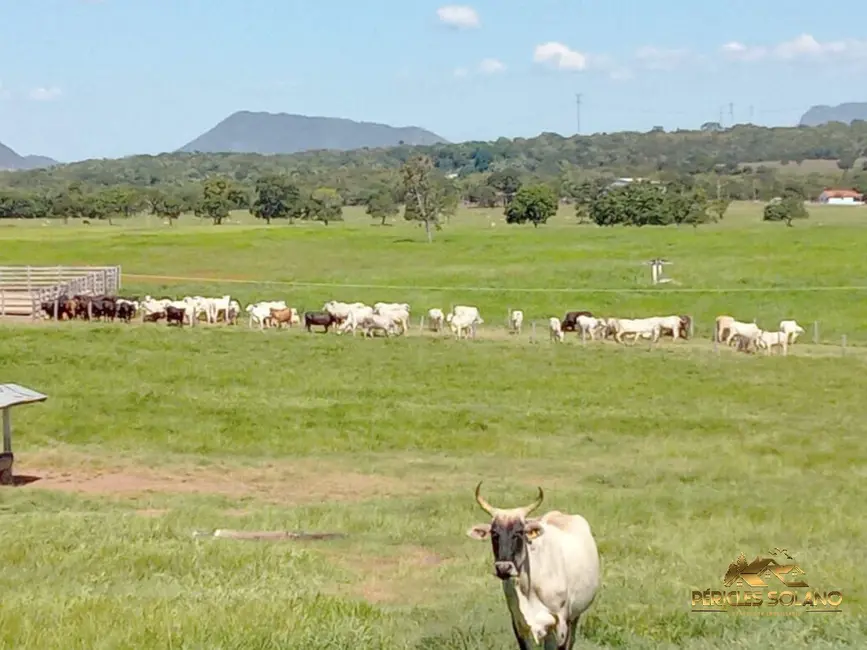 Foto 1 de Fazenda / Haras com 3 quartos à venda, 1240m2 em Centro, Nobres - MT