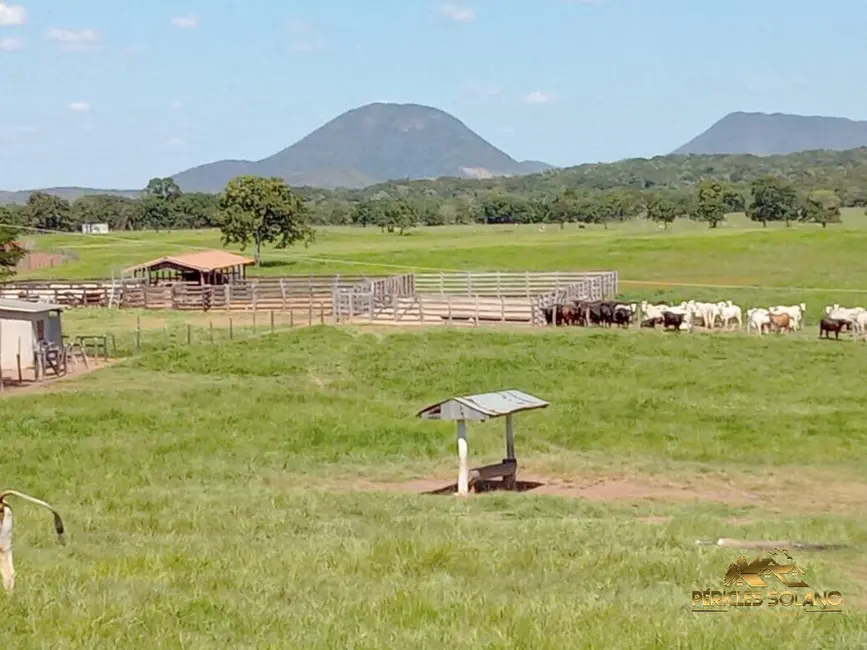 Foto 2 de Fazenda / Haras com 3 quartos à venda, 1240m2 em Centro, Nobres - MT