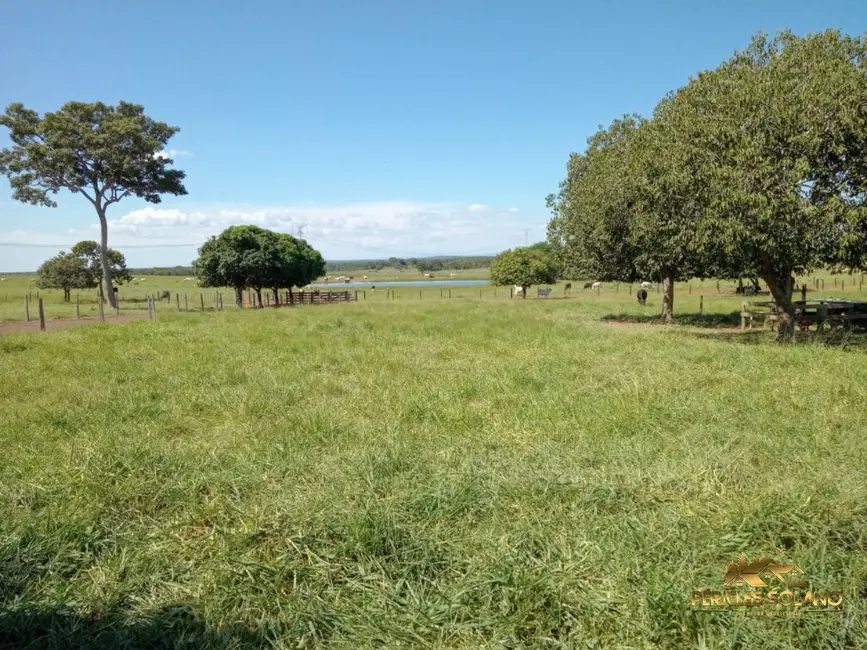Foto 3 de Fazenda / Haras com 3 quartos à venda, 1240m2 em Centro, Nobres - MT