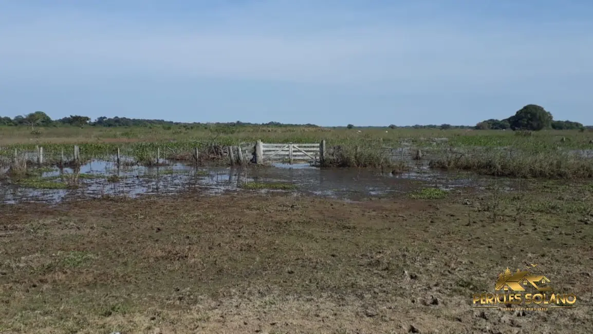 Fazenda / Haras com 3 quartos à venda, 88000m2 em Pocone - MT - imagem 7 Foto 7 de Fazenda / Haras com 3 quartos à venda, 88000m2 em Pocone - MT
