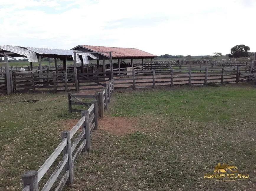Fazenda / Haras com 3 quartos à venda, 88000m2 em Pocone - MT - imagem 8 Foto 8 de Fazenda / Haras com 3 quartos à venda, 88000m2 em Pocone - MT