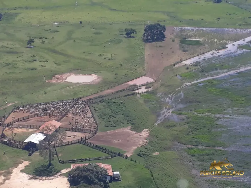 Fazenda / Haras com 3 quartos à venda, 88000m2 em Pocone - MT - imagem 5 Foto 5 de Fazenda / Haras com 3 quartos à venda, 88000m2 em Pocone - MT