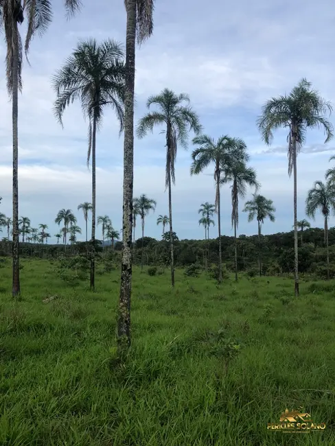Foto 3 de Fazenda / Haras com 3 quartos à venda, 45500m2 em Minacu - GO