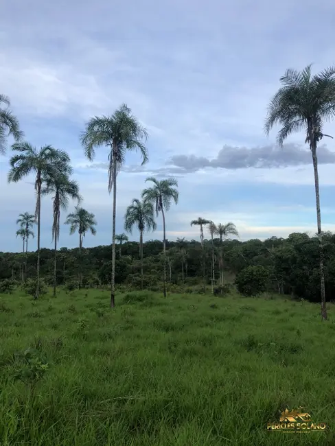 Foto 4 de Fazenda / Haras com 3 quartos à venda, 45500m2 em Minacu - GO