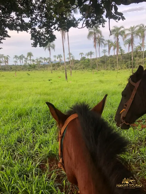 Foto 2 de Fazenda / Haras com 3 quartos à venda, 45500m2 em Minacu - GO