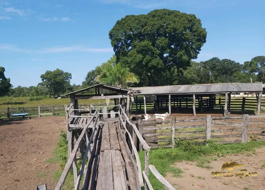 Fazenda / Haras com 3 quartos à venda, 1120m2 em Pocone - MT - imagem 5 Foto 5 de Fazenda / Haras com 3 quartos à venda, 1120m2 em Pocone - MT