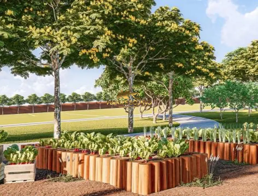 Terreno / Lote à venda, 550m2 em Jardim Vitória, Goiania - GO - imagem 4 Foto 4 de Terreno / Lote à venda, 550m2 em Jardim Vitória, Goiania - GO