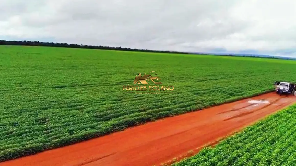 Fazenda / Haras com 3 quartos à venda, 90000m2 em Jardim Primavera, Sinop - MT - imagem 4 Foto 4 de Fazenda / Haras com 3 quartos à venda, 90000m2 em Jardim Primavera, Sinop - MT