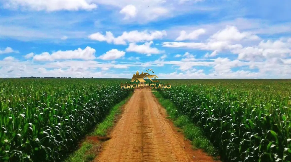 Fazenda / Haras com 3 quartos à venda, 90000m2 em Jardim Primavera, Sinop - MT - imagem 7 Foto 7 de Fazenda / Haras com 3 quartos à venda, 90000m2 em Jardim Primavera, Sinop - MT