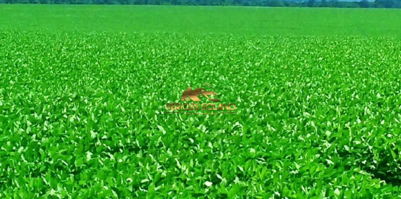 Fazenda / Haras com 3 quartos à venda, 90000m2 em Jardim Primavera, Sinop - MT - imagem 9 Foto 9 de Fazenda / Haras com 3 quartos à venda, 90000m2 em Jardim Primavera, Sinop - MT