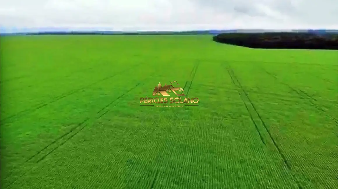 Fazenda / Haras com 3 quartos à venda, 90000m2 em Jardim Primavera, Sinop - MT - imagem 6 Foto 6 de Fazenda / Haras com 3 quartos à venda, 90000m2 em Jardim Primavera, Sinop - MT