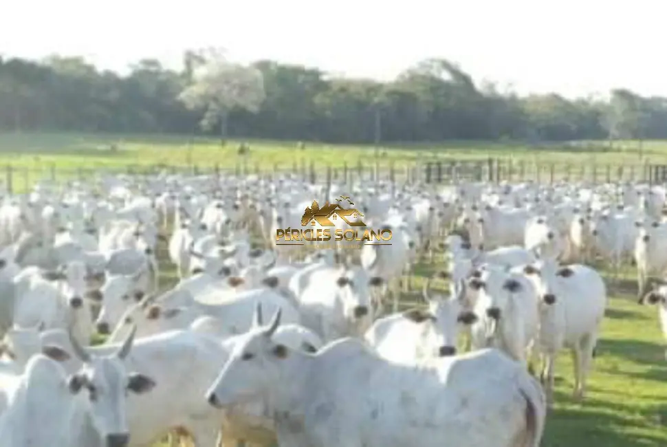 Foto 1 de Fazenda / Haras com 3 quartos à venda, 149515m2 em Centro, Rondolandia - MT