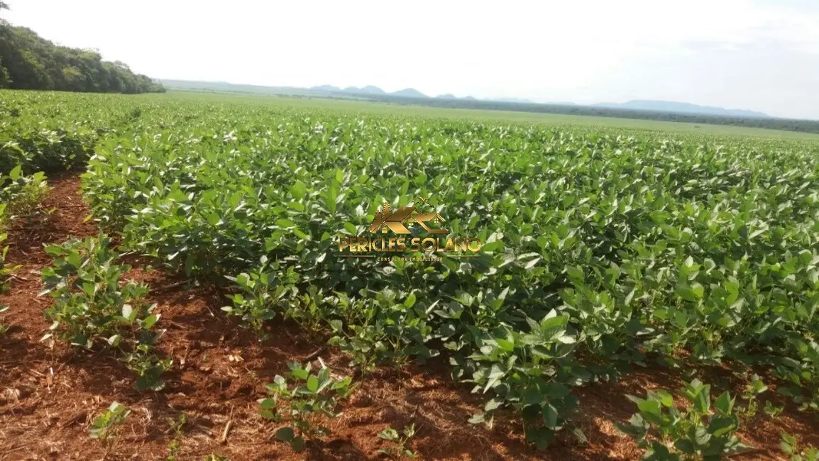 Foto 2 de Fazenda / Haras com 3 quartos à venda, 57000m2 em Santana Do Araguaia - PA
