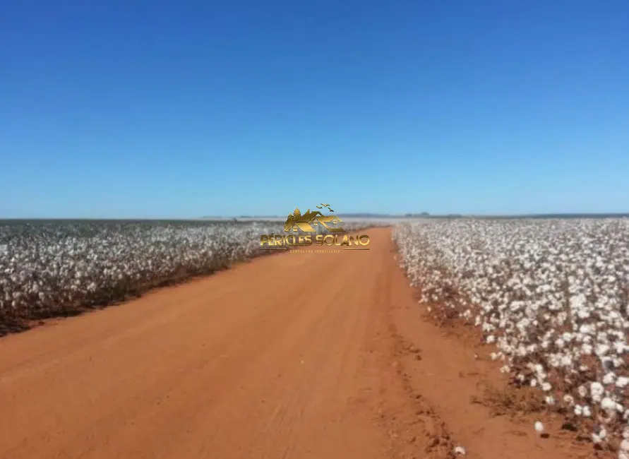 Fazenda / Haras com 3 quartos à venda, 3850m2 em Centro, Primavera Do Leste - MT - imagem 5 Foto 5 de Fazenda / Haras com 3 quartos à venda, 3850m2 em Centro, Primavera Do Leste - MT