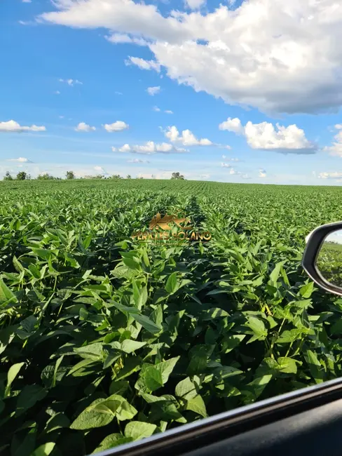 Fazenda / Haras com 3 quartos à venda, 1350m2 em Centro, Primavera Do Leste - MT - imagem 9 Foto 9 de Fazenda / Haras com 3 quartos à venda, 1350m2 em Centro, Primavera Do Leste - MT