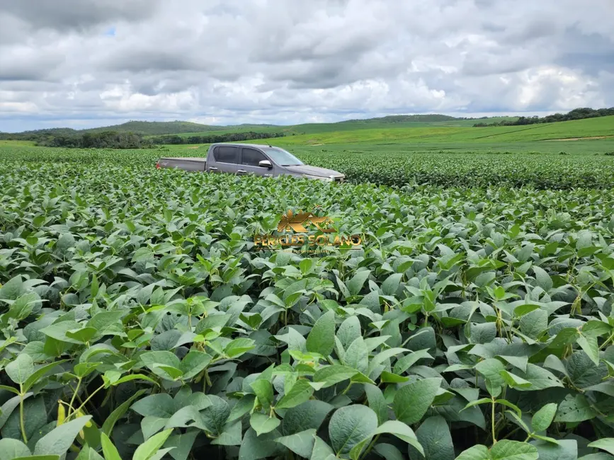 Fazenda / Haras com 3 quartos à venda, 1350m2 em Centro, Primavera Do Leste - MT - imagem 3 Foto 3 de Fazenda / Haras com 3 quartos à venda, 1350m2 em Centro, Primavera Do Leste - MT