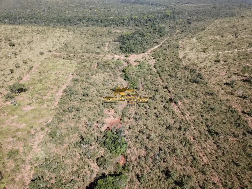 Fazenda / Haras com 3 quartos à venda, 21120m2 em Tangara Da Serra - MT - imagem 6 Foto 6 de Fazenda / Haras com 3 quartos à venda, 21120m2 em Tangara Da Serra - MT
