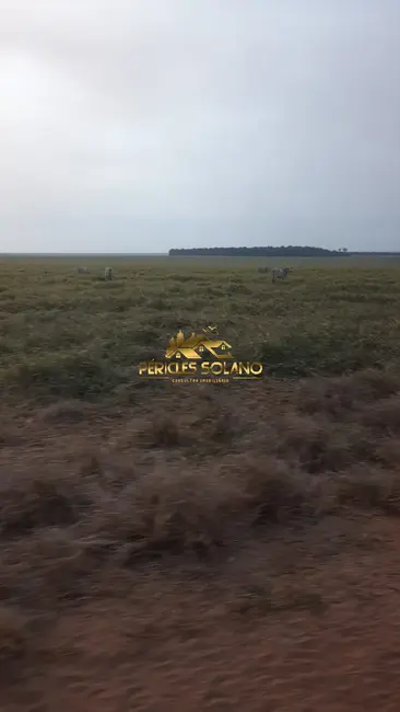 Foto 7 de Fazenda / Haras com 3 quartos à venda, 49937m2 em Nova Ubirata - MT