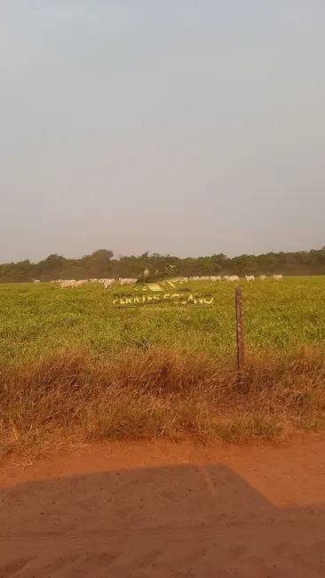 Foto 4 de Fazenda / Haras com 3 quartos à venda, 49937m2 em Nova Ubirata - MT