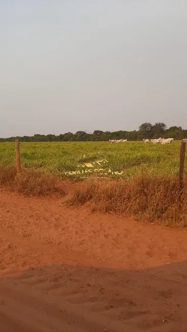 Foto 3 de Fazenda / Haras com 3 quartos à venda, 49937m2 em Nova Ubirata - MT