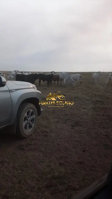 Foto 5 de Fazenda / Haras com 3 quartos à venda, 49937m2 em Nova Ubirata - MT