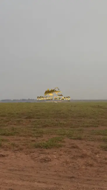 Foto 8 de Fazenda / Haras com 3 quartos à venda, 49937m2 em Nova Ubirata - MT