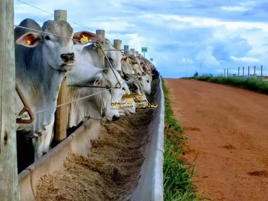 Foto 1 de Fazenda / Haras com 3 quartos à venda, 29200m2 em Aruana - GO