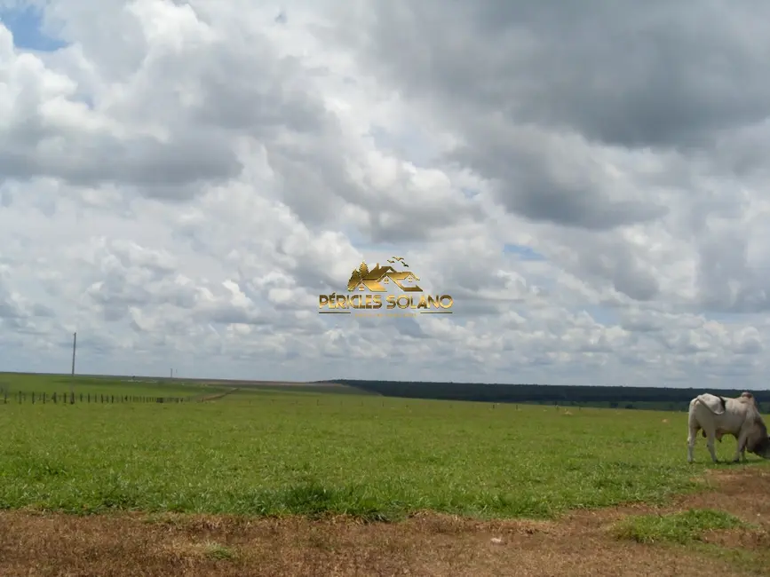 Foto 6 de Fazenda / Haras com 3 quartos à venda, 10800m2 em Querencia - MT
