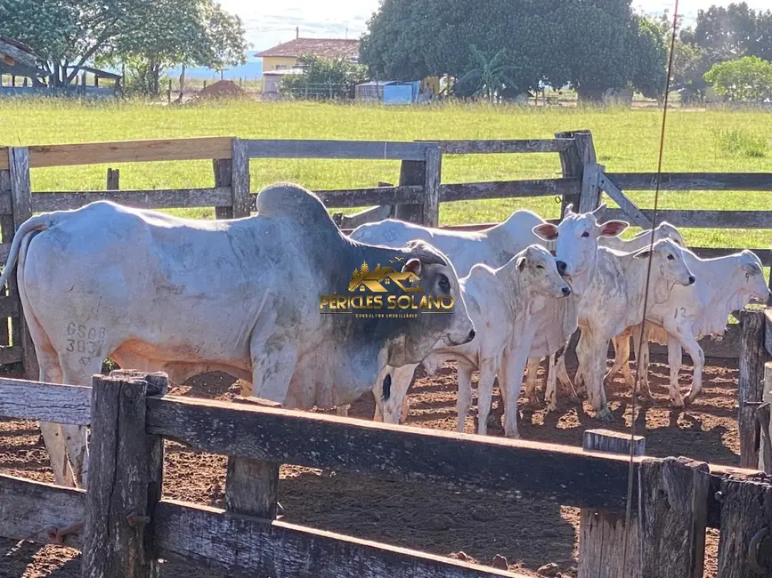 Foto 5 de Fazenda / Haras com 3 quartos à venda, 10800m2 em Querencia - MT