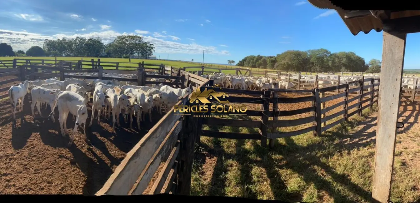 Foto 3 de Fazenda / Haras com 3 quartos à venda, 10800m2 em Querencia - MT