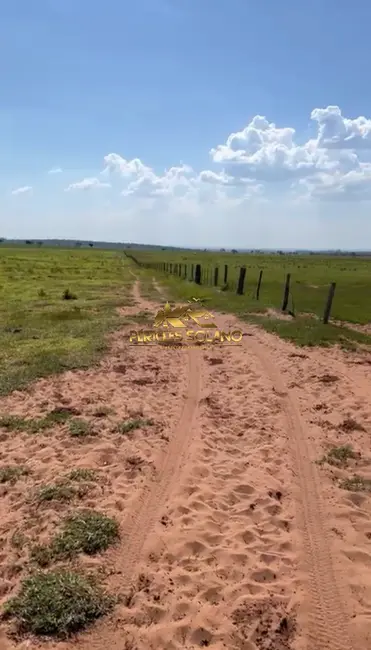 Foto 8 de Fazenda / Haras com 3 quartos à venda, 1219m2 em Amambai - MS