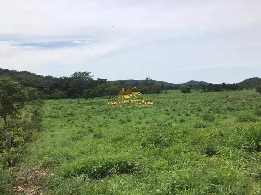 Foto 6 de Fazenda / Haras com 3 quartos à venda, 55m2 em Crixas - GO