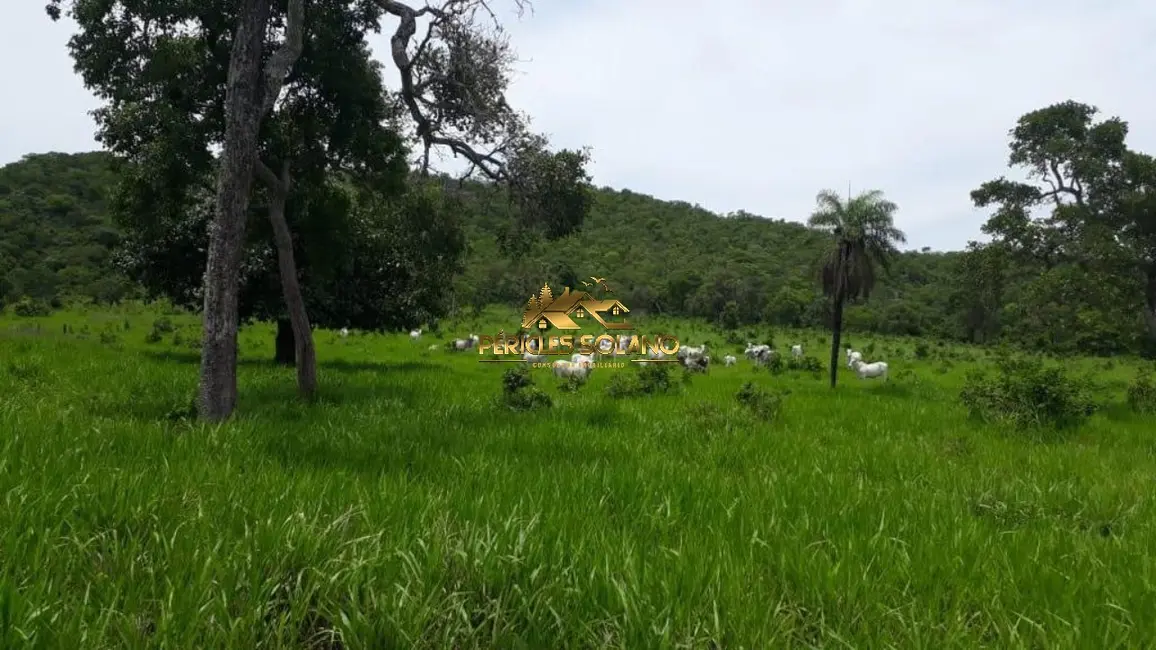 Foto 5 de Fazenda / Haras com 3 quartos à venda, 55m2 em Crixas - GO